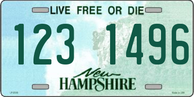 NH license plate 1231496
