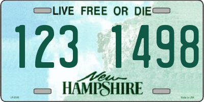 NH license plate 1231498
