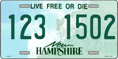 NH license plate 1231502