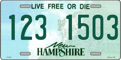 NH license plate 1231503