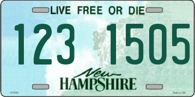 NH license plate 1231505