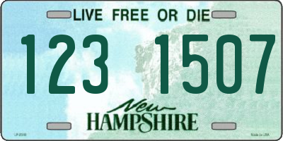 NH license plate 1231507