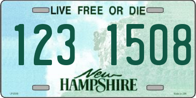 NH license plate 1231508