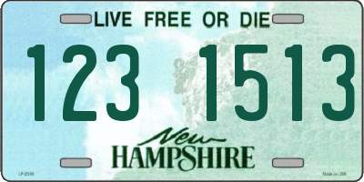 NH license plate 1231513