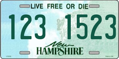 NH license plate 1231523