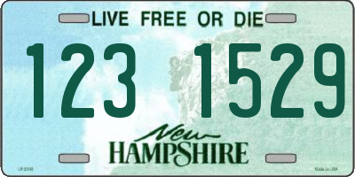 NH license plate 1231529