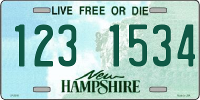NH license plate 1231534