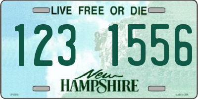 NH license plate 1231556