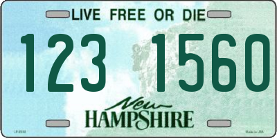NH license plate 1231560