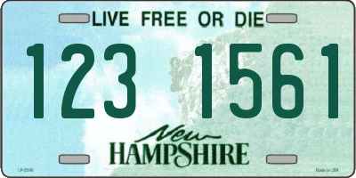 NH license plate 1231561