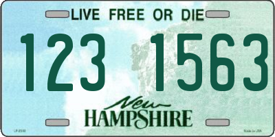 NH license plate 1231563