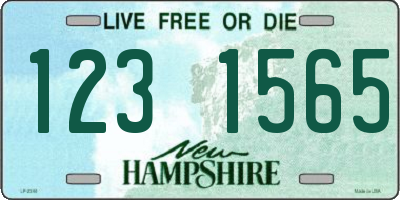 NH license plate 1231565
