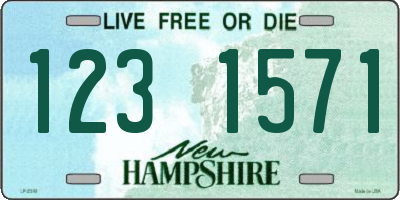 NH license plate 1231571
