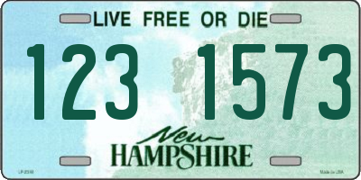 NH license plate 1231573