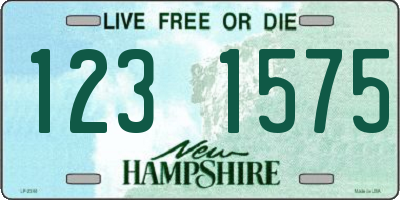 NH license plate 1231575