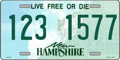 NH license plate 1231577