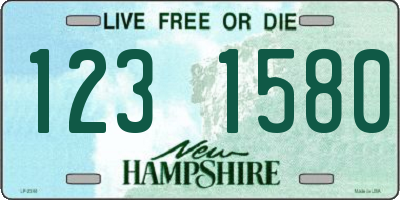 NH license plate 1231580