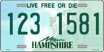 NH license plate 1231581