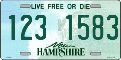 NH license plate 1231583