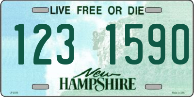 NH license plate 1231590