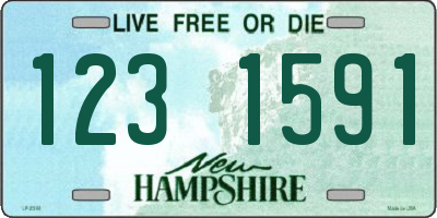 NH license plate 1231591