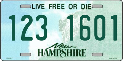NH license plate 1231601