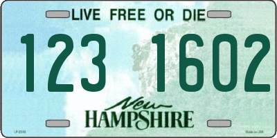 NH license plate 1231602