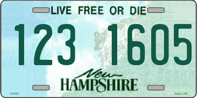NH license plate 1231605