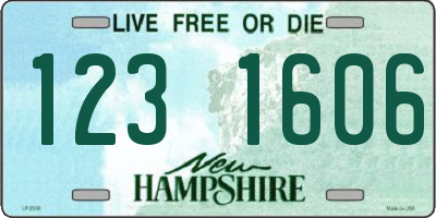 NH license plate 1231606