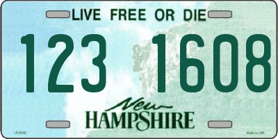 NH license plate 1231608