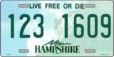 NH license plate 1231609