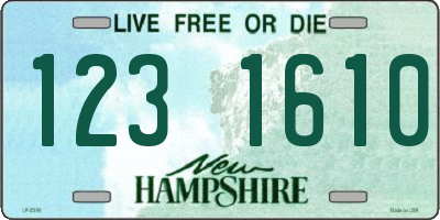 NH license plate 1231610