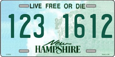NH license plate 1231612
