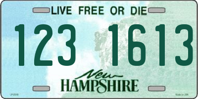 NH license plate 1231613