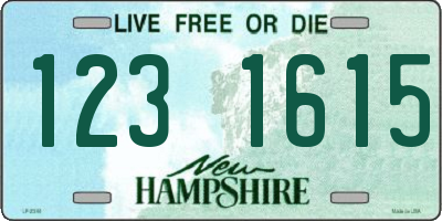 NH license plate 1231615