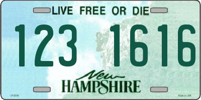 NH license plate 1231616