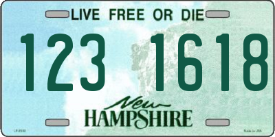 NH license plate 1231618