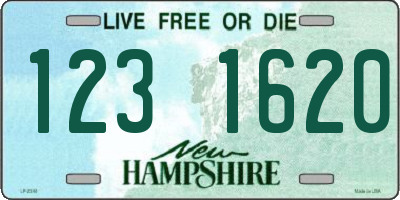 NH license plate 1231620