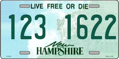 NH license plate 1231622