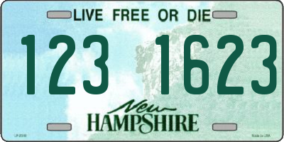 NH license plate 1231623