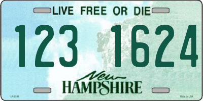 NH license plate 1231624