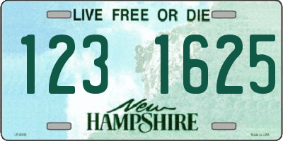 NH license plate 1231625