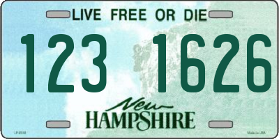 NH license plate 1231626