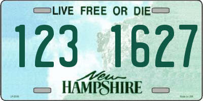 NH license plate 1231627