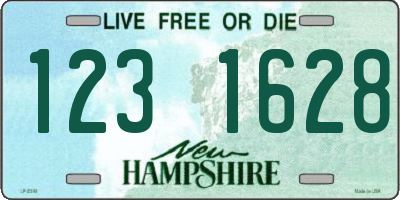 NH license plate 1231628