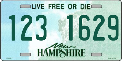 NH license plate 1231629