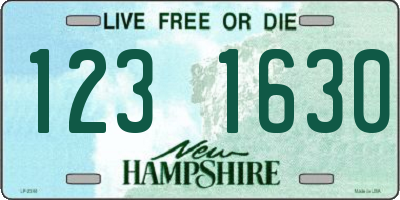 NH license plate 1231630
