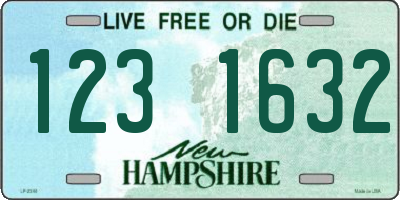 NH license plate 1231632