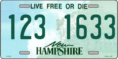 NH license plate 1231633