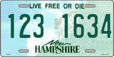 NH license plate 1231634